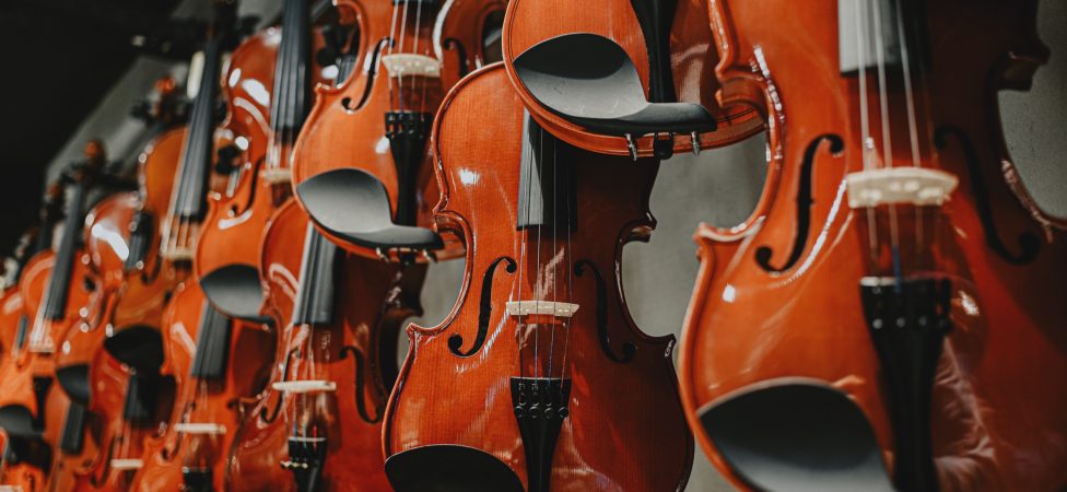 A number of violins hanging on the wall in the shop.